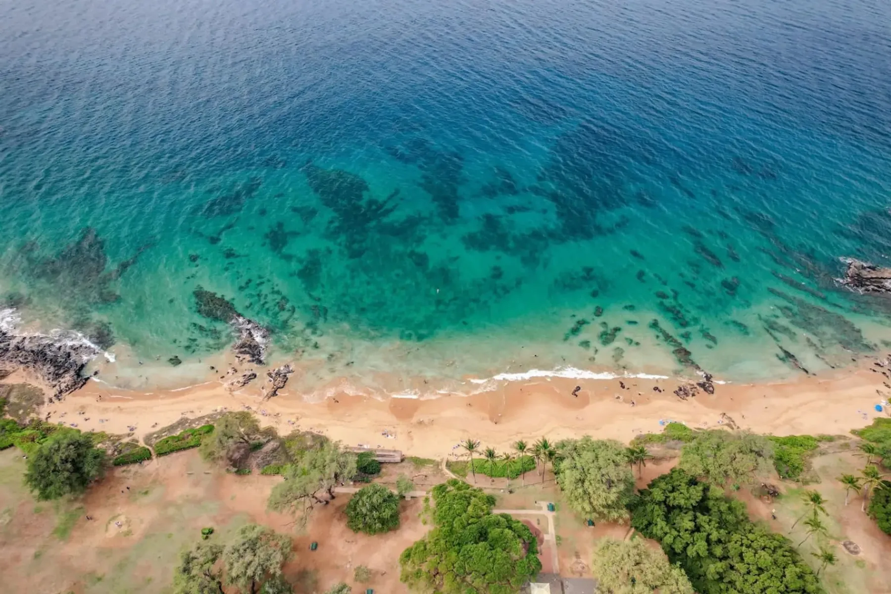 Vista aérea de una costa arenosa junto a aguas turquesas y vegetación.