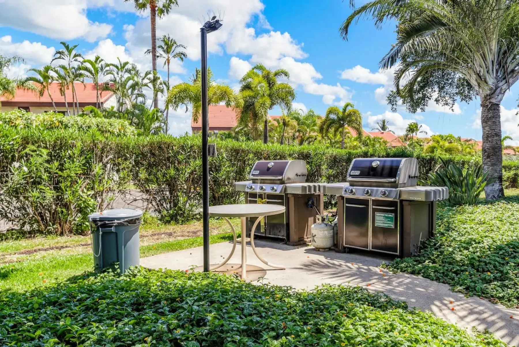 Una zona de parrillas al aire libre junto a un jardín con plantas.