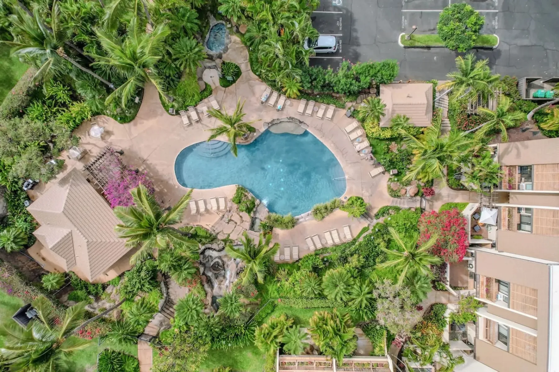 Vista aérea de una piscina rodeada de vegetación tropical y asientos reclinables.