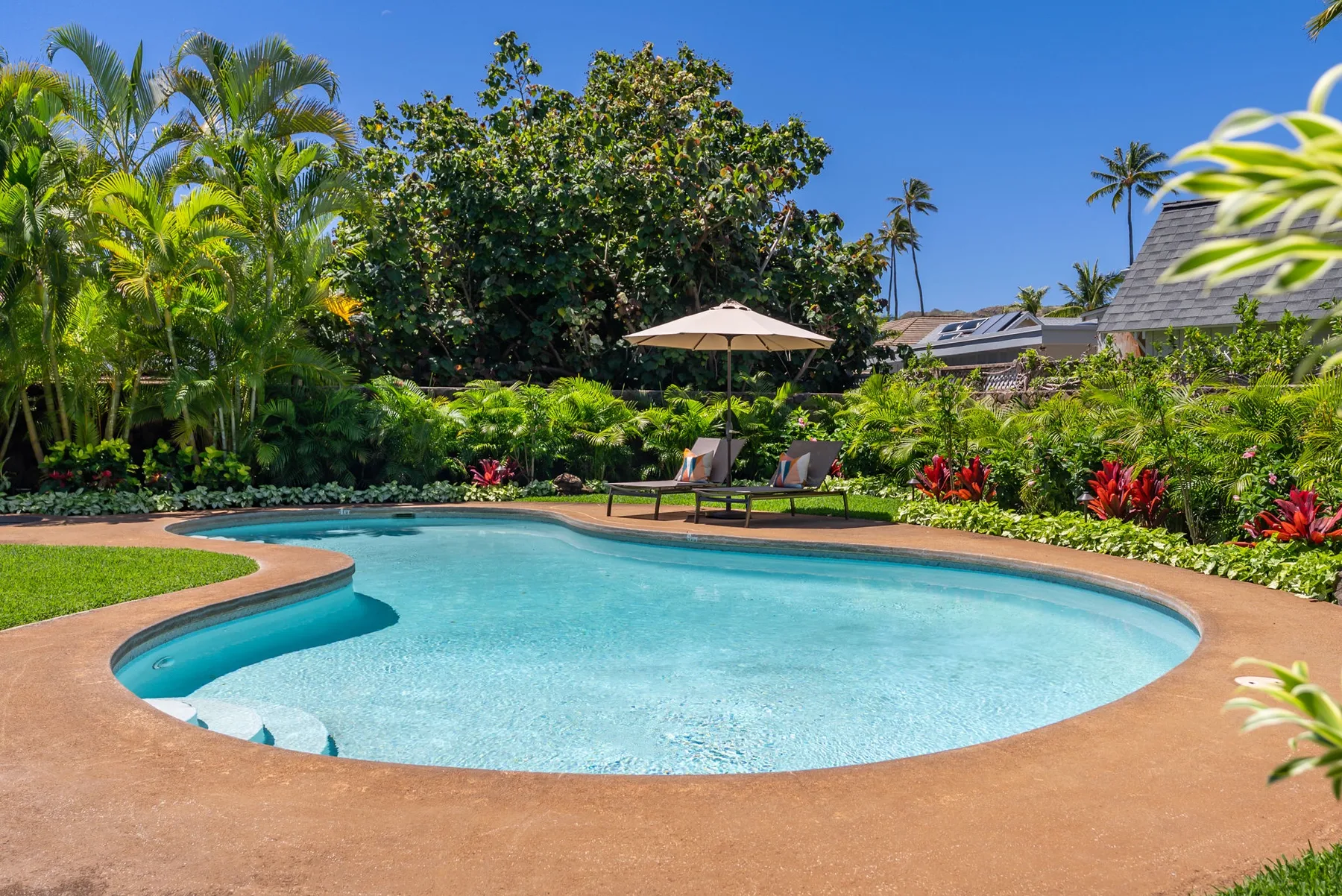 Una piscina curva está rodeada de vegetación tropical y asientos al aire libre.