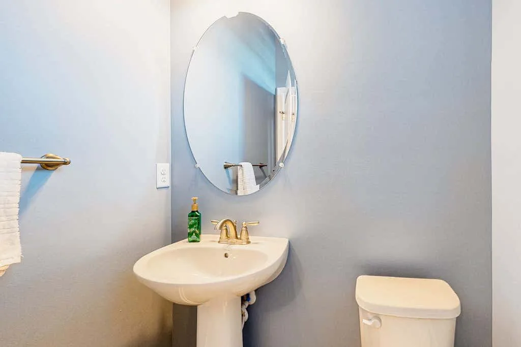 Un baño con lavabo de pedestal, espejo ovalado e inodoro.