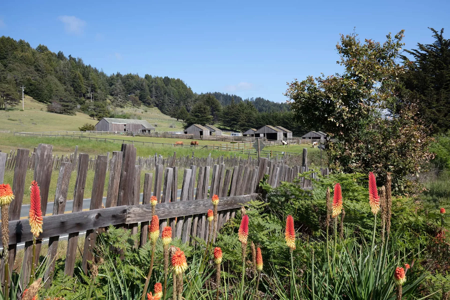 A rural farm landscape with wooden fencing, outbuildings, and flowering plants.