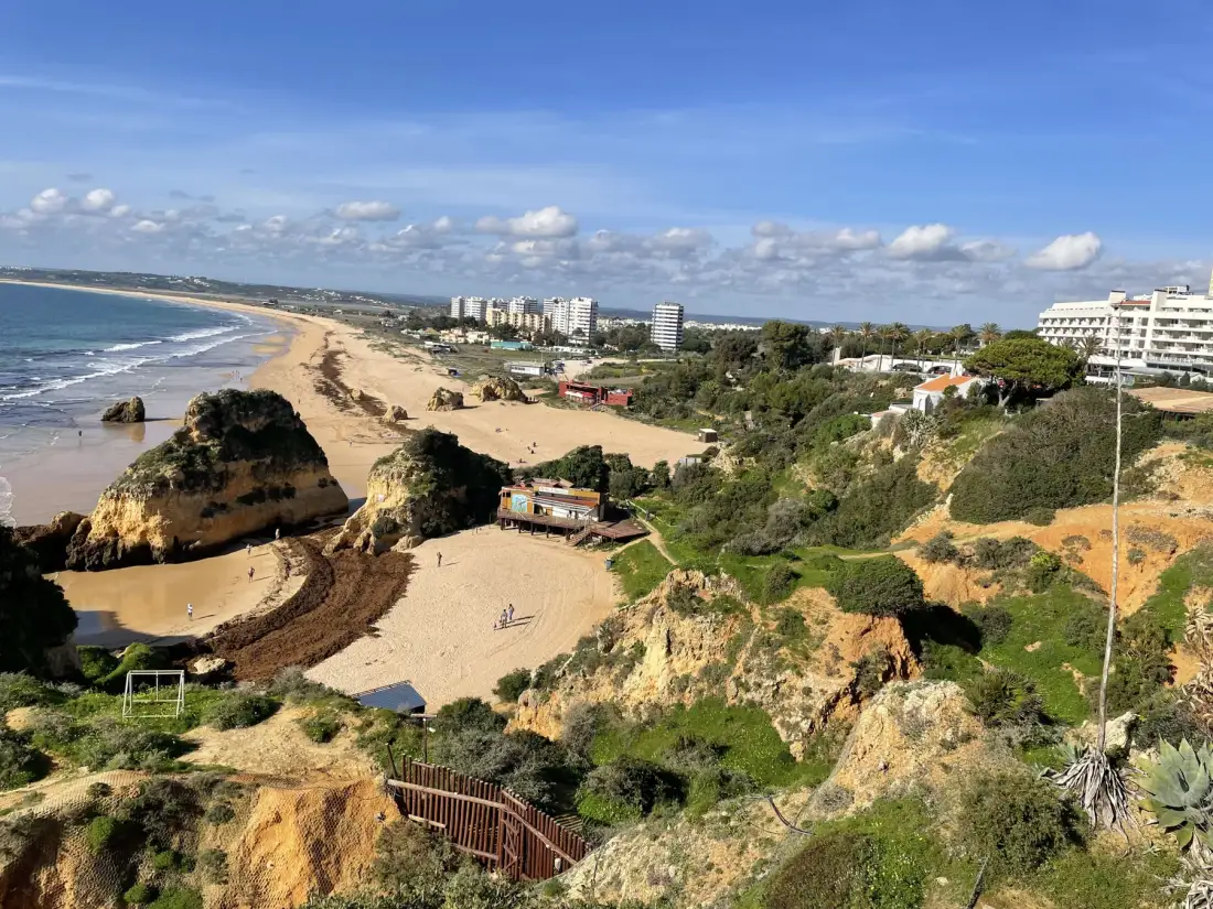 A sandy beach curves along the coast below green cliffs and scattered buildings.