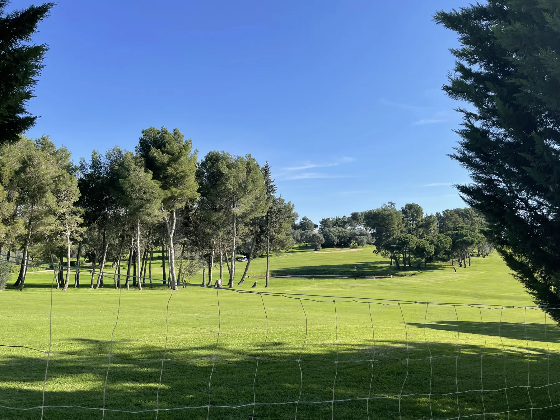 A green golf course stretches across a sunny landscape with scattered trees.