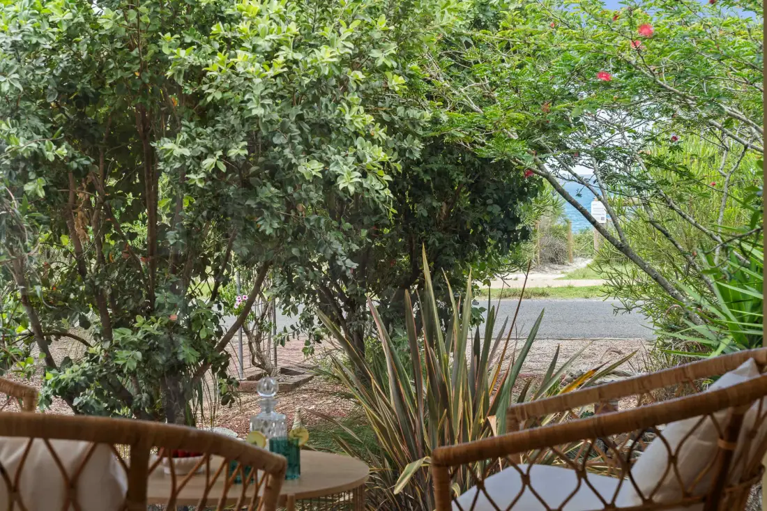 Outdoor seating area framed by dense greenery beside a paved path.