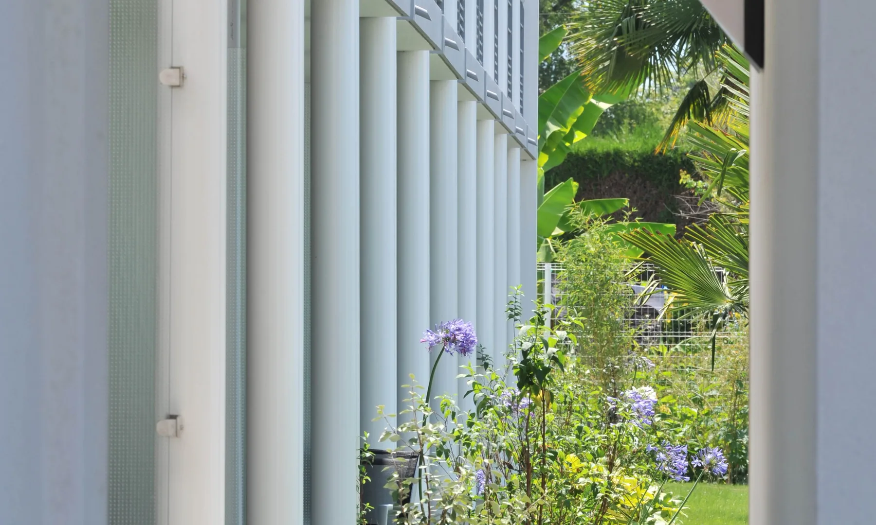 Terrazas de las habitaciones entre plantas exóticas