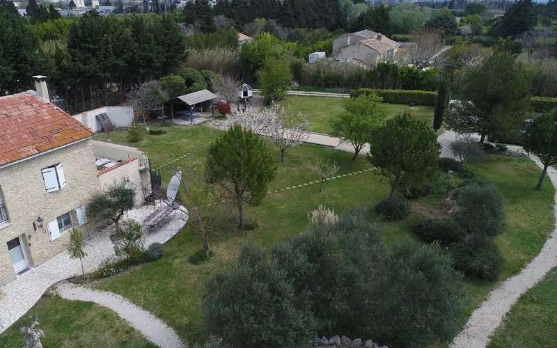 Garden, April 2020