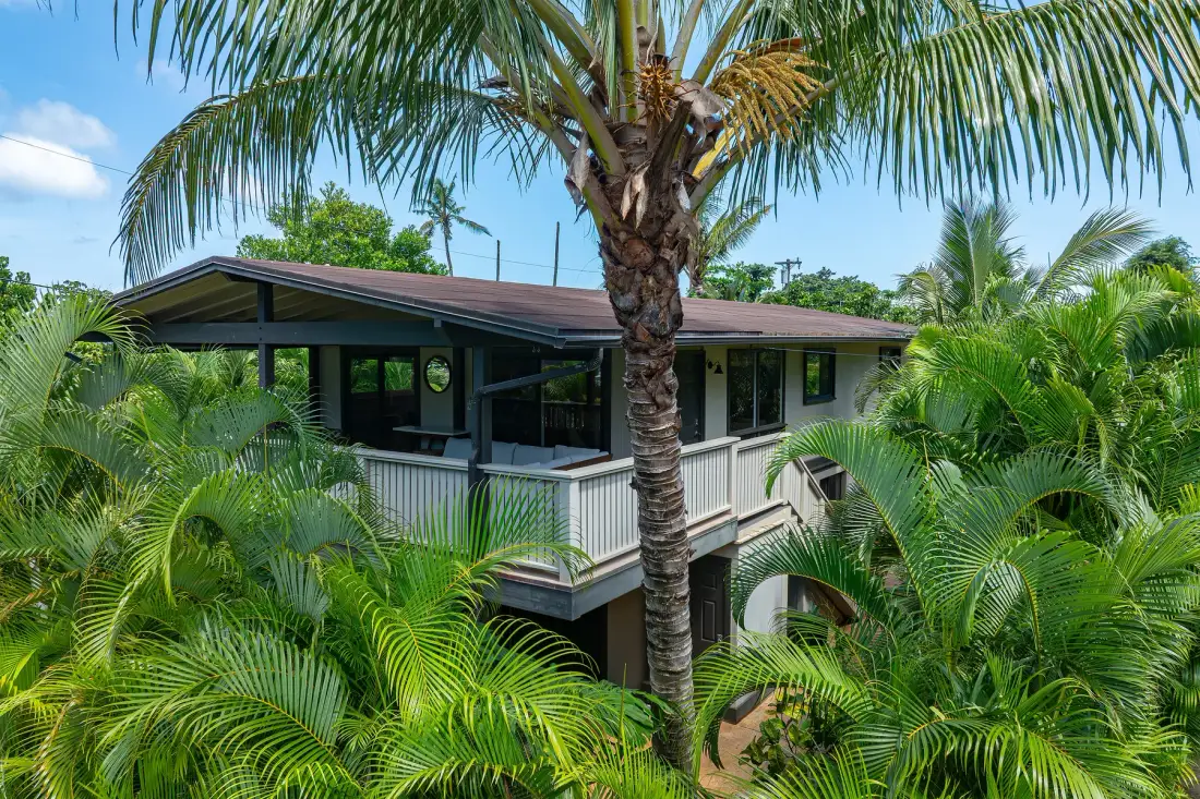 Una casa elevada con porche cubierto está rodeada de palmeras y vegetación tropical.