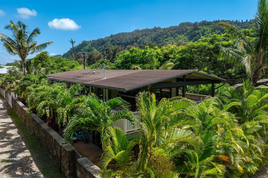 Un edificio de techo bajo está rodeado de palmeras tropicales, con una colina verde al fondo.
