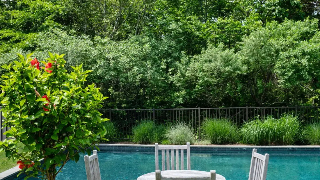An outdoor swimming pool bordered by greenery, with seating beside the water.