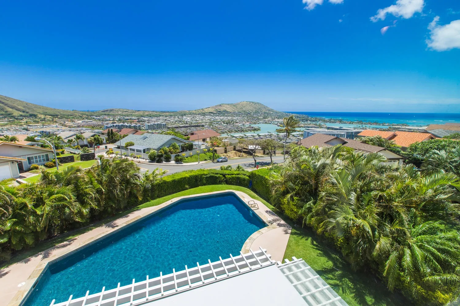 Una piscina rodeada de palmeras tiene vistas a un barrio costero y al mar.