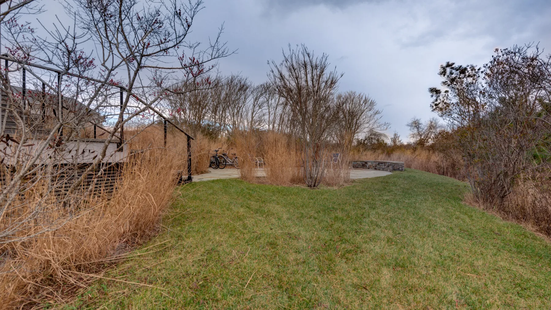 A grassy outdoor area bordered by dry plants and leafless trees.