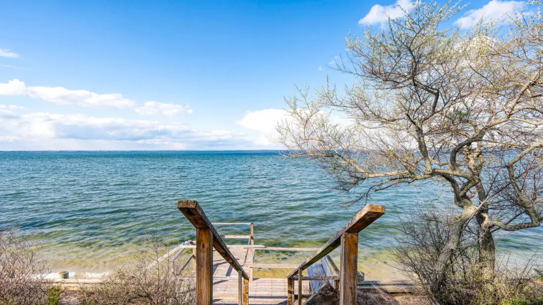 Un pasillo de madera conduce a la orilla de un lago, con un árbol junto al agua.