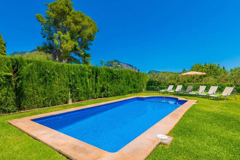 A rectangular swimming pool sits beside a lawn, with lounge chairs along the hedge.