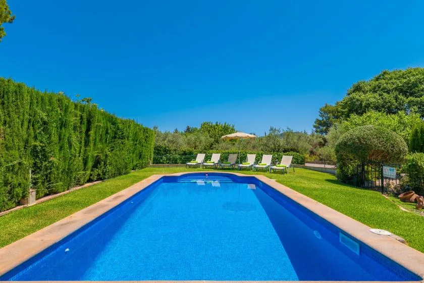 An outdoor swimming pool is surrounded by green hedges and lawn.