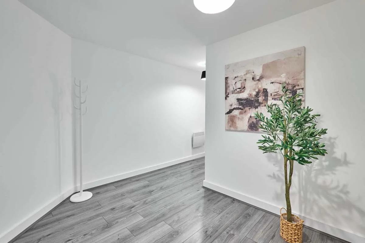 A bright entryway with gray flooring, wall art, and a potted plant.