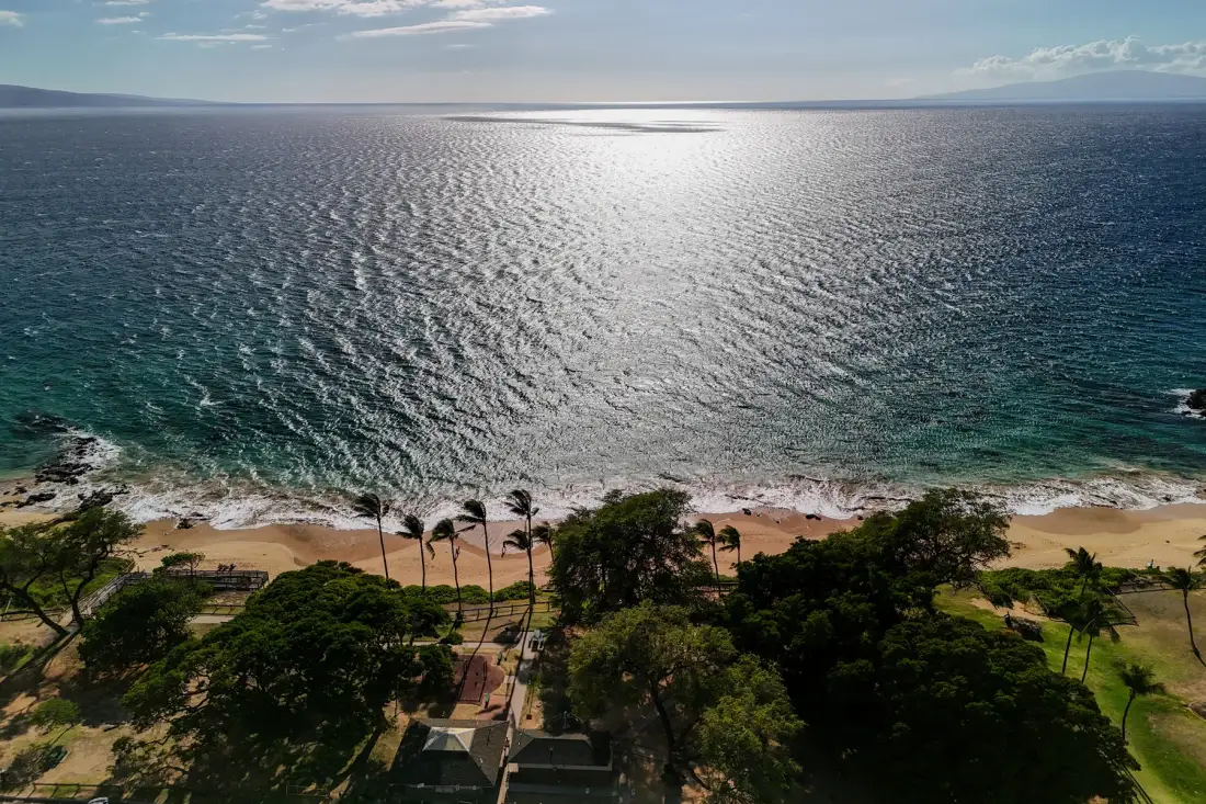 Aerial view of a sandy beach and tree-lined coast beside the ocean.