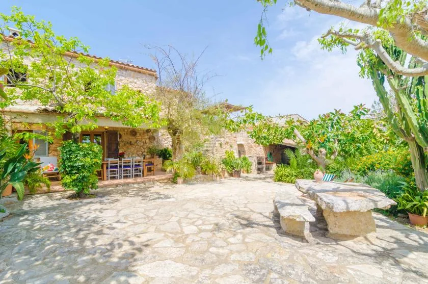 A sunny stone courtyard with leafy trees, outdoor seating, and a built-in table.