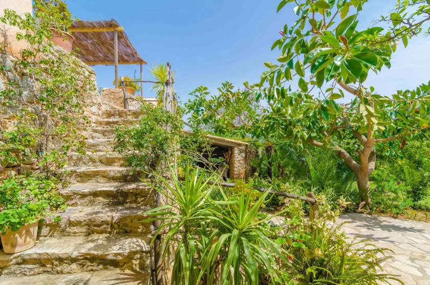 A garden path with stone steps winds through lush greenery.
