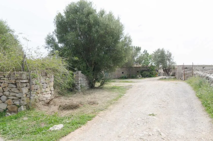 A dirt road runs beside a low stone wall and trees.