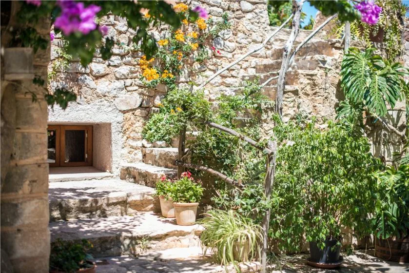A stone courtyard garden with potted flowers and leafy plants.