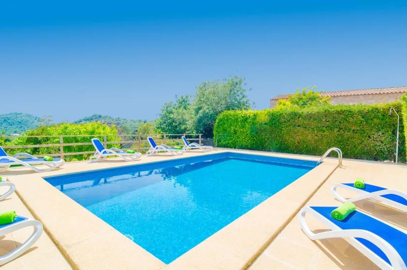An outdoor swimming pool is surrounded by sun loungers and greenery.