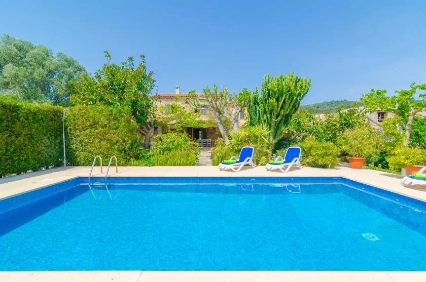 An outdoor swimming pool bordered by greenery, with lounge chairs beside the water.