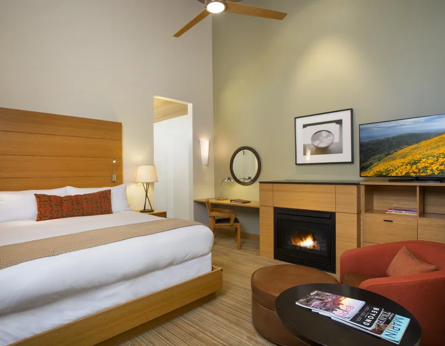 Contemporary king room view