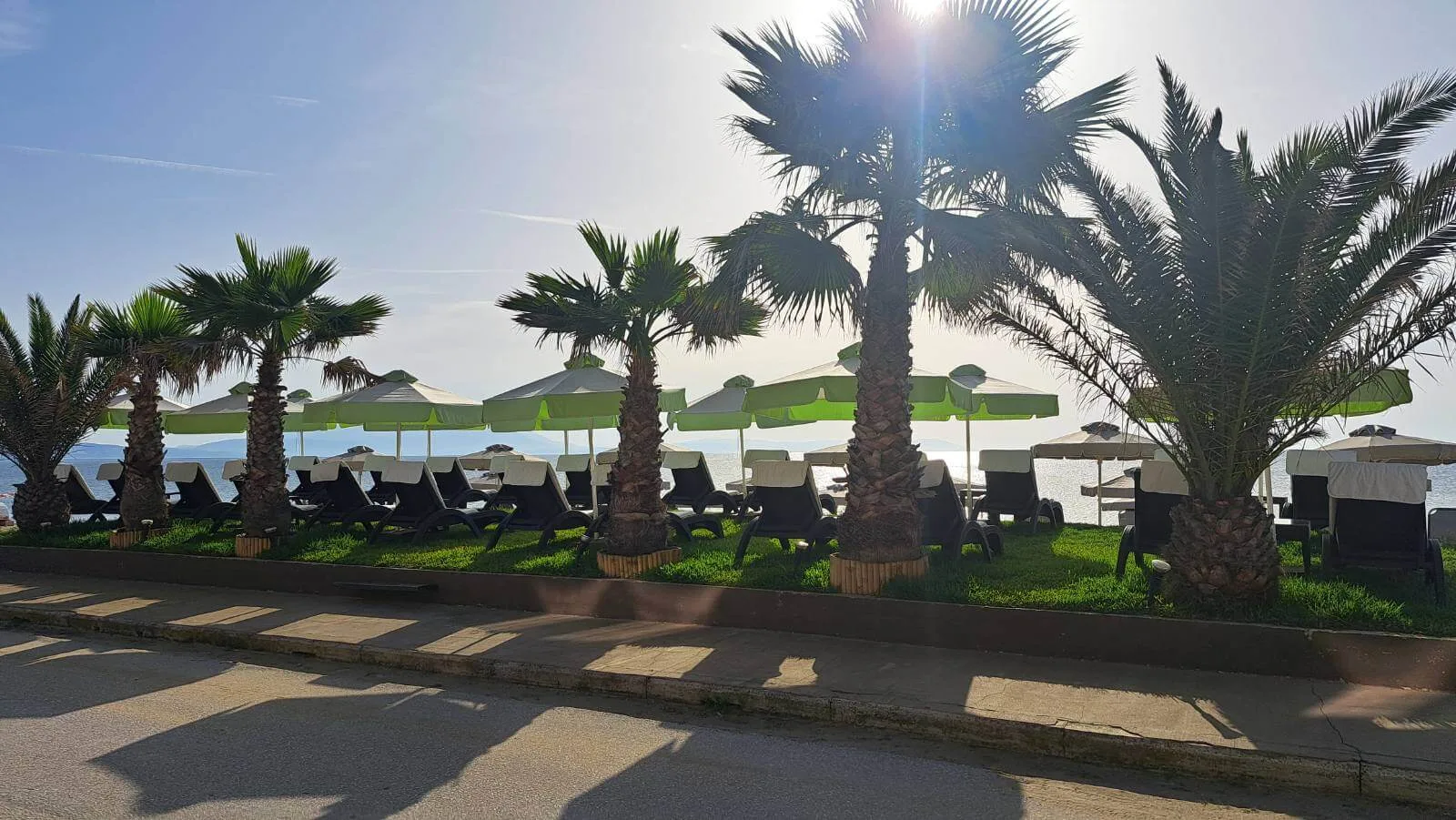 Organized beach area
