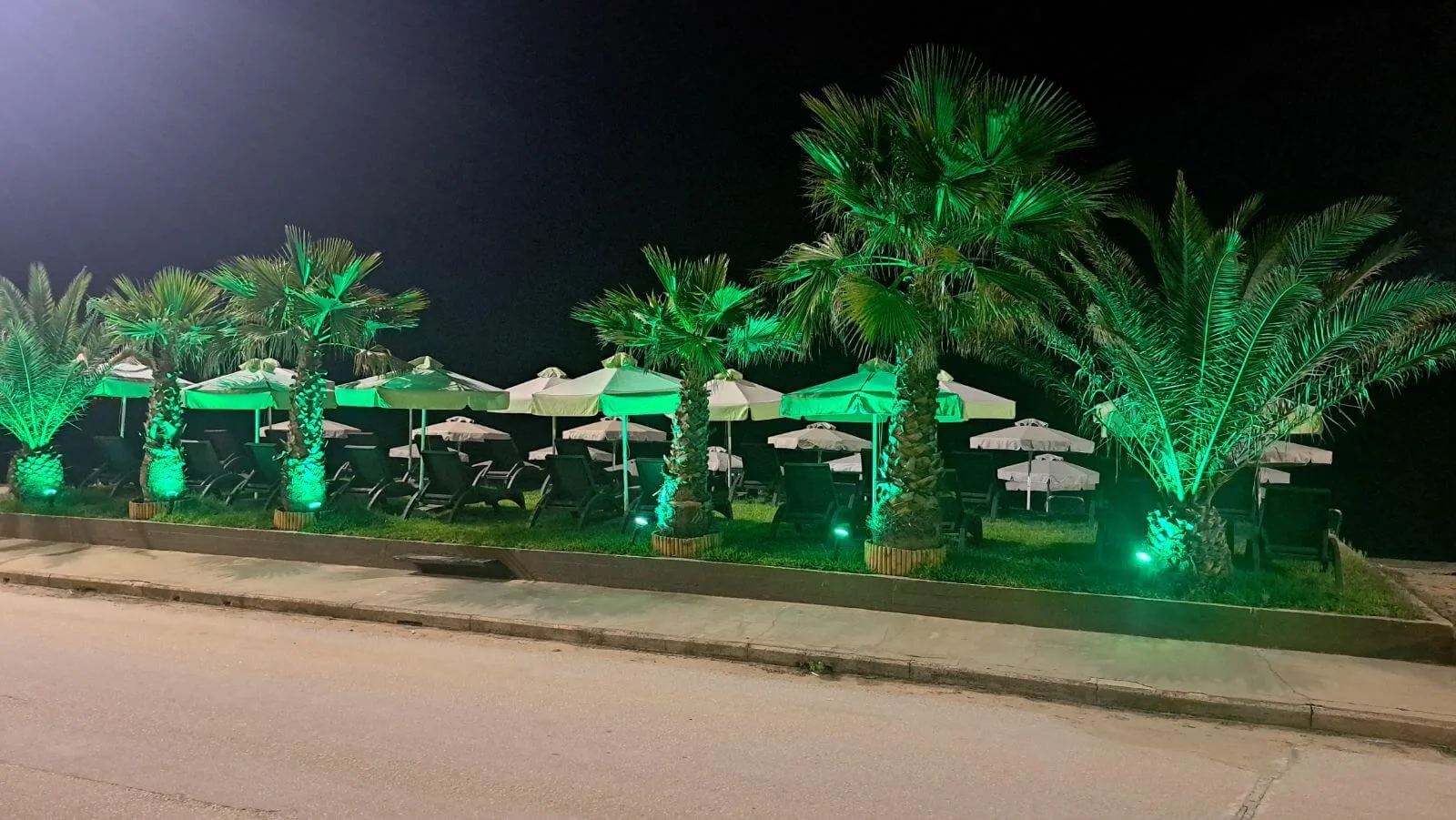 Organized beach area
