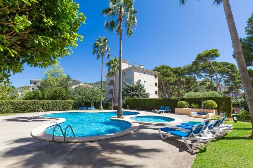An outdoor swimming pool is surrounded by lounge chairs, greenery, and tall palm trees.