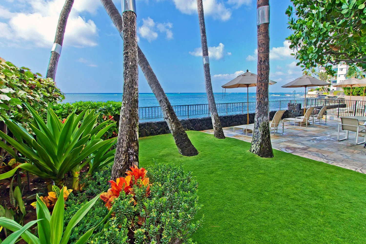 Un jardín junto al mar con césped, plantas tropicales y un patio con vistas al agua.