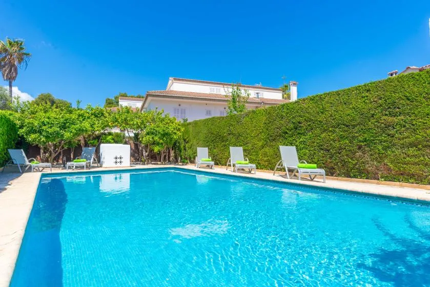 An outdoor swimming pool is surrounded by greenery and lounge seating.