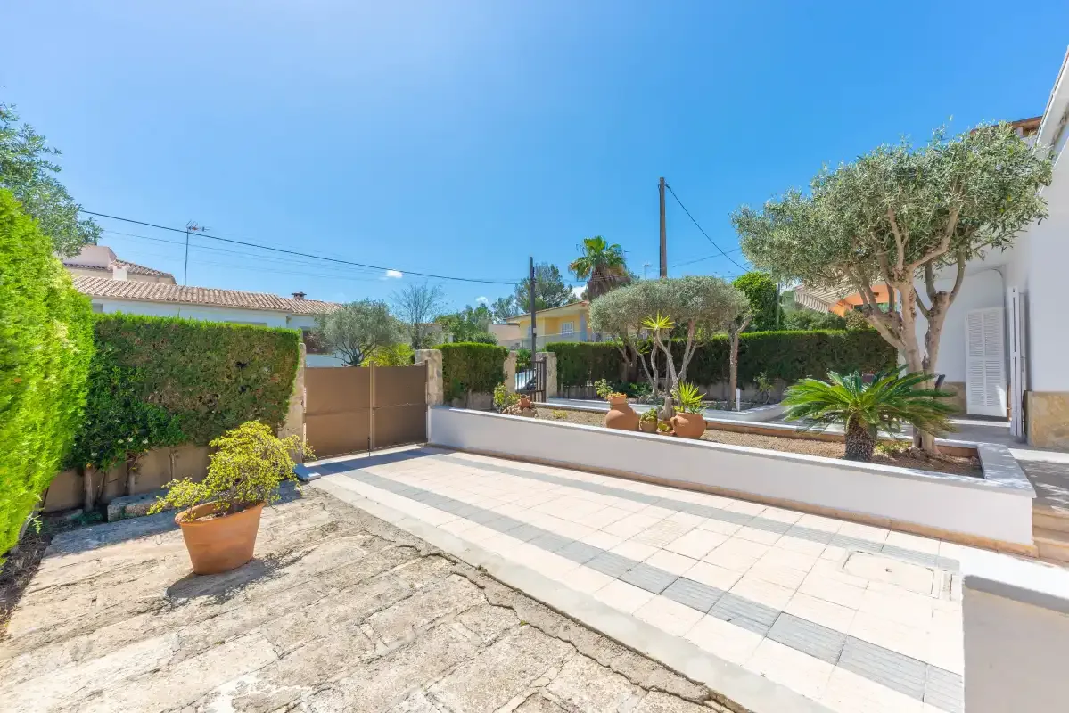 A sunlit outdoor patio with paved seating areas, plants, and hedges.