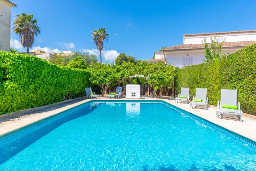 An outdoor swimming pool is surrounded by greenery and seating.