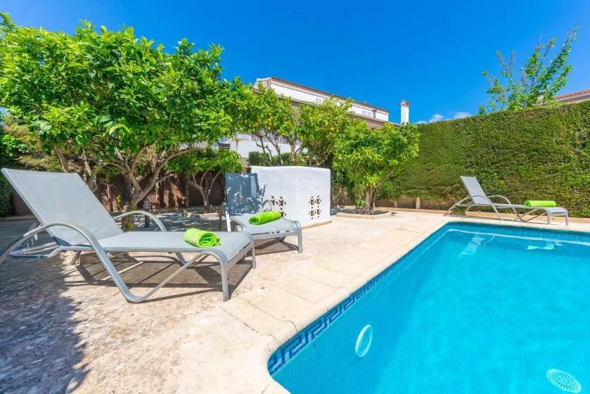 A swimming pool beside a sunny patio with lounge seating and leafy trees.