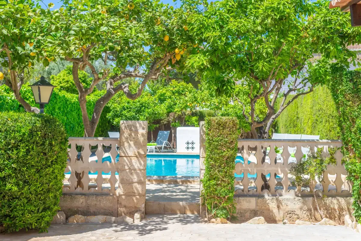 A garden patio overlooks a swimming pool, framed by trees and a low stone wall.