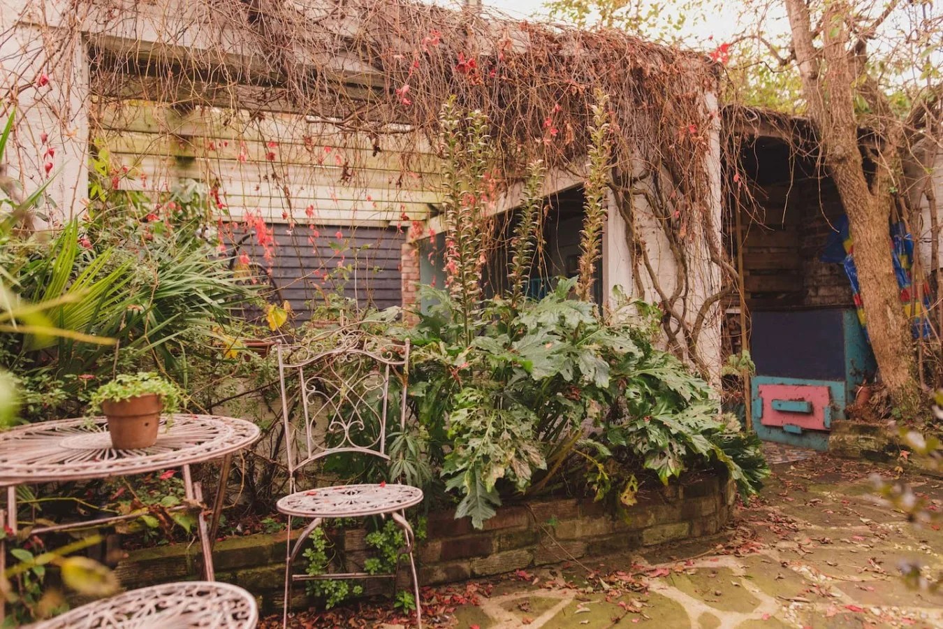 A garden patio with metal seating and climbing vines around a small wooden shed.