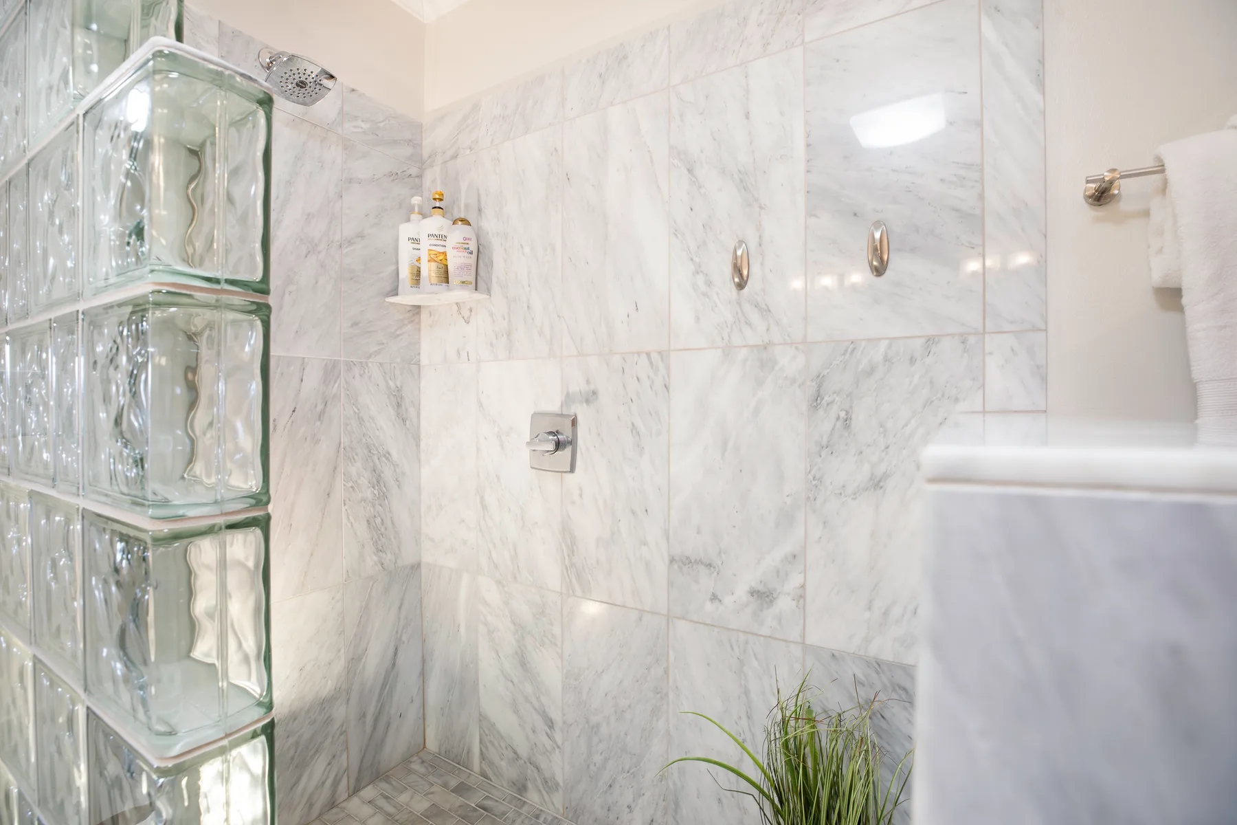 A tiled bathroom with a shower and a small plant beside the vanity.