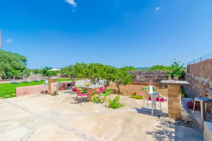 A sunny outdoor patio with tables, seating, potted plants, and surrounding greenery.