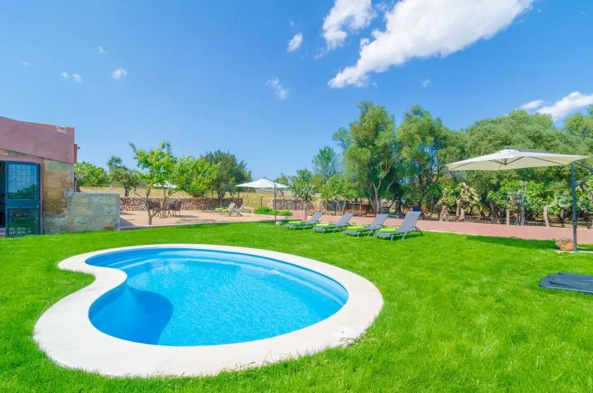 A swimming pool sits in a green garden with lounge seating and shade umbrellas.
