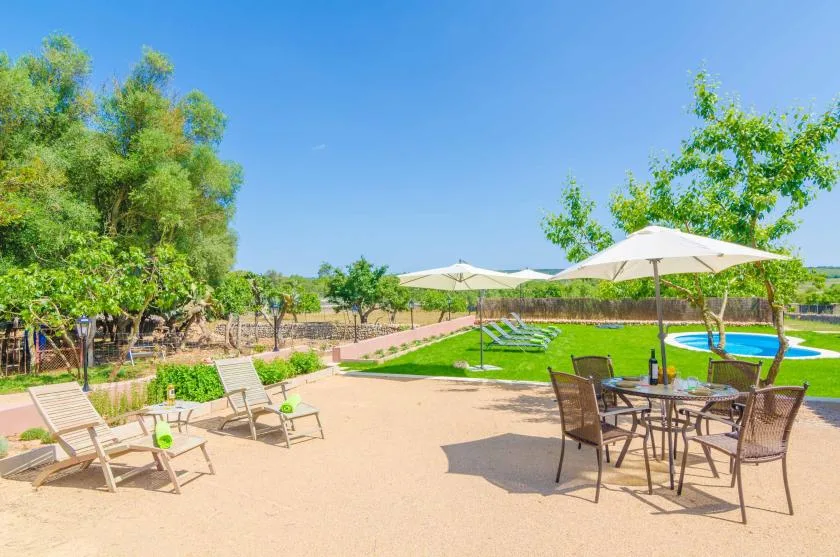 A sunny outdoor patio with tables, chairs, umbrellas, and a green lawn.