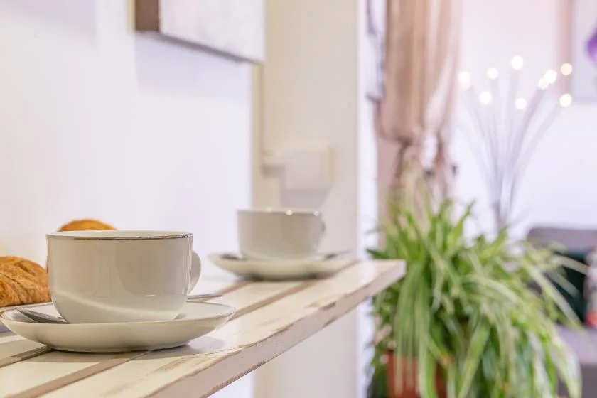 A bright dining area with cups and saucers on a counter beside a leafy plant.
