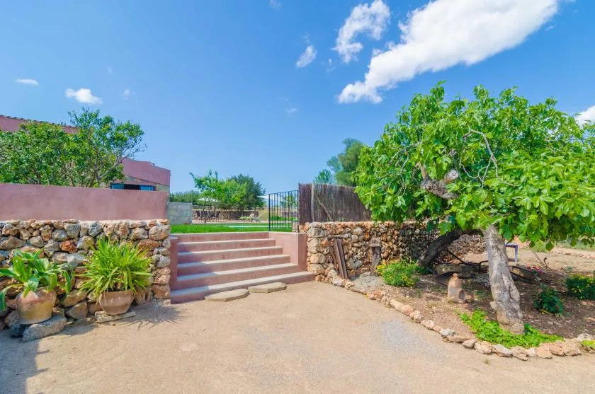 An outdoor entrance path leads up stone-edged steps toward a gate, with trees nearby.