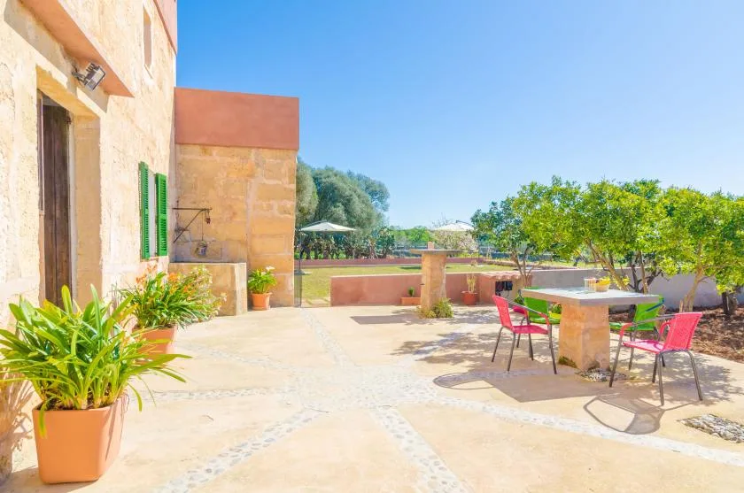 A sunlit stone patio with outdoor seating and potted plants.