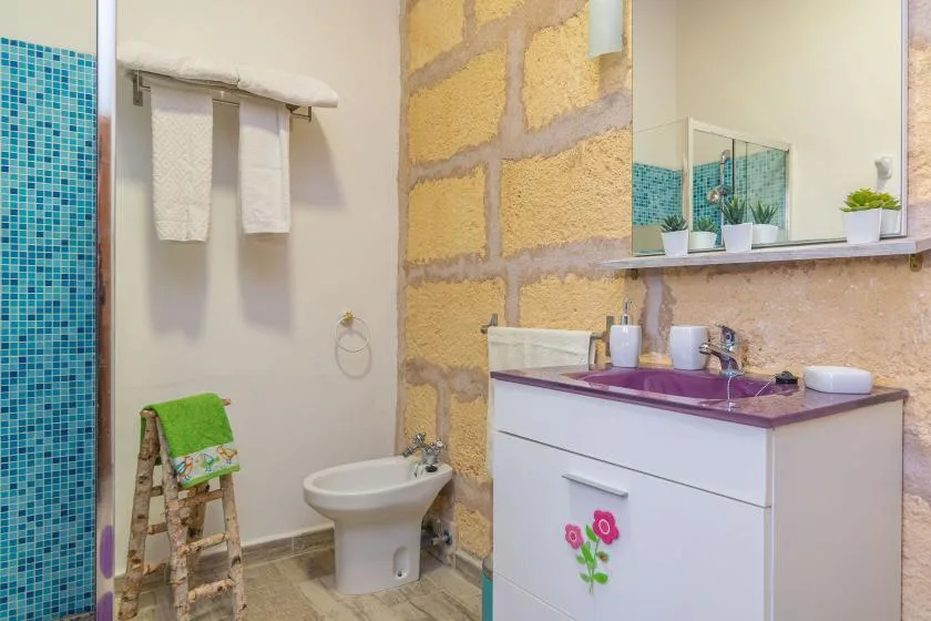A bathroom with a sink, mirror, bidet, and tiled shower wall.