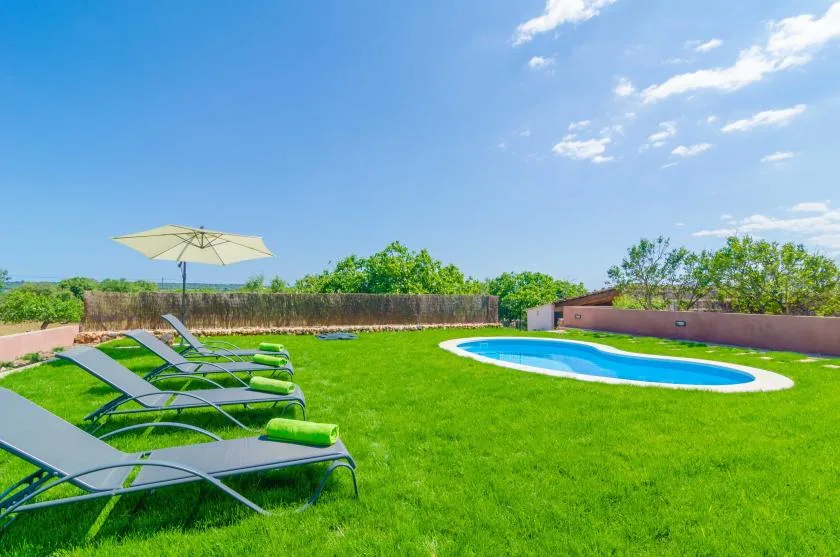 A sunny outdoor lawn with several loungers, an umbrella, and a swimming pool.