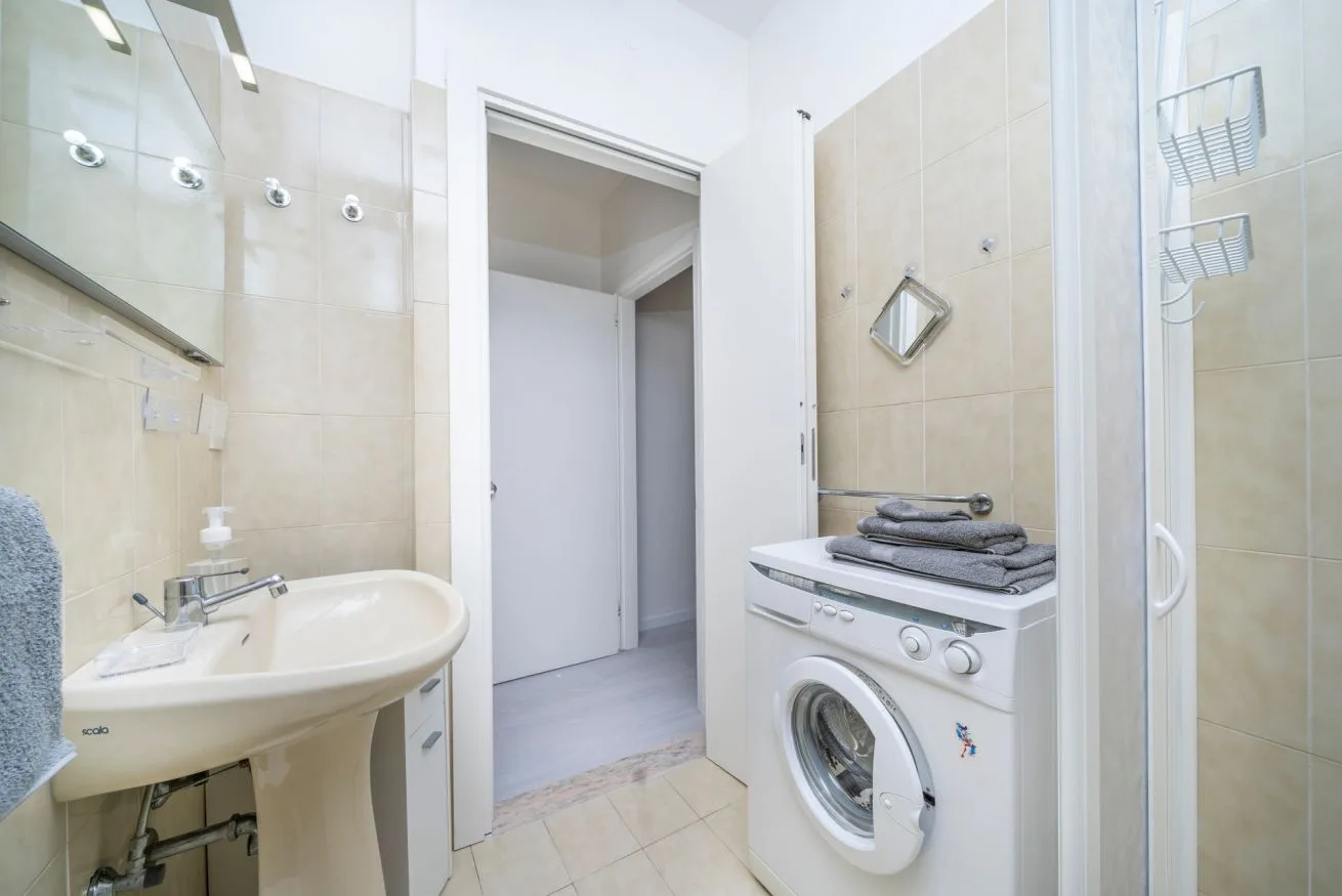 A bathroom with a sink and a front-loading washing machine.