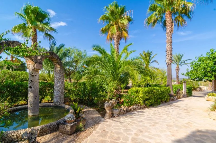 Un sendero soleado atraviesa el jardín, junto a palmeras y una pequeña fuente de piedra.
