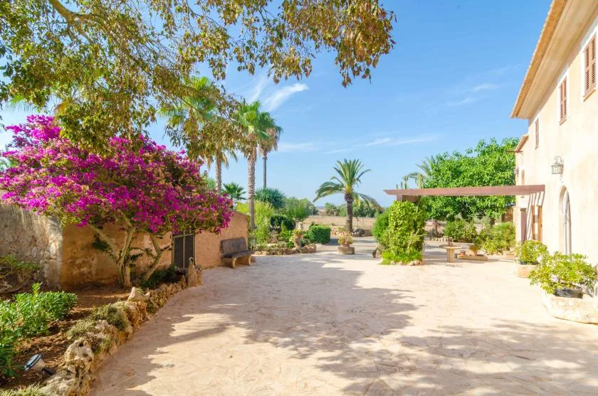 Un patio soleado con arbustos floridos, palmeras y una terraza pavimentada junto a un edificio.